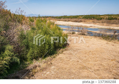 木津川　山城大橋からの景観　京都府京田辺市　城陽市 137360288