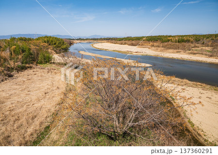 木津川　山城大橋からの景観　京都府京田辺市　城陽市 137360291