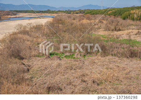 木津川　山城大橋からの景観　京都府京田辺市　城陽市 137360298