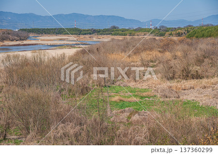 木津川 山城大橋からの景観 京都府京田辺市 城陽市 木津川 山城大橋からの景観 京都府京田辺市 城陽市 137360299