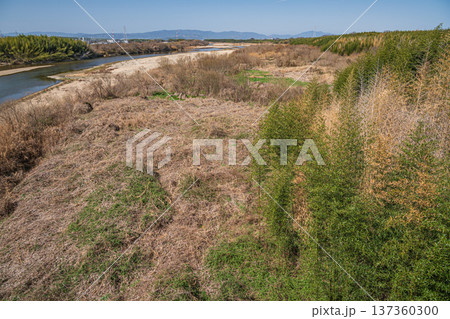 木津川　山城大橋からの景観　京都府京田辺市　城陽市 137360300