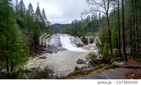Powerful waterfall cascades through a lush green forest on an overcast day. Powerful waterfall cascades through a lush green forest on an overcast day. 137360430