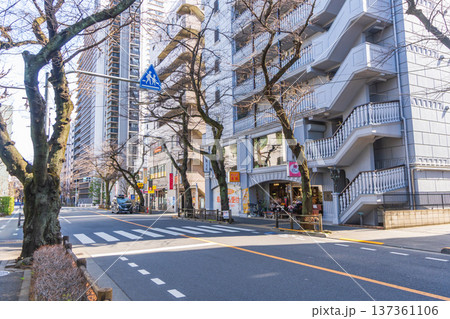 東京の都市風景 武蔵境駅南口 境南通り 東京の都市風景 武蔵境駅南口 境南通り 137361106