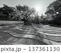 石庭のある庭園 137361130