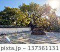 紅葉が美しい秋の庭園 137361131