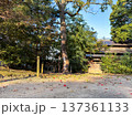 秋の春日山城の天守を見る風景 137361133