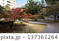紅葉のある風景 137361264