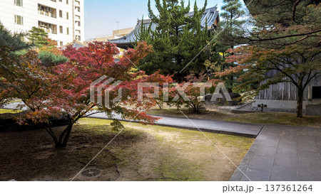 紅葉のある風景 137361264