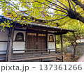 紅葉が美しい秋の庭園 137361266