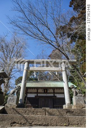 鎌倉26221　白幡神社1 137361448