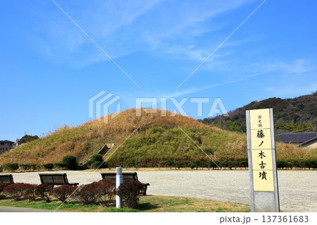 藤ノ木古墳 藤ノ木古墳 137361683