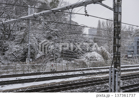 王子駅から見た雪の日の飛鳥山公園 冬の鉄道風景 王子駅から見た雪の日の飛鳥山公園 冬の鉄道風景 137361737