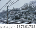 王子駅から見た雪の日の飛鳥山公園　冬の鉄道風景 137361738