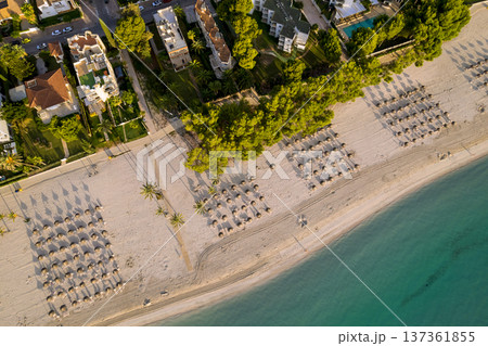 Beach has many chairs lined up under trees near residences pool, at coast Majorca Balearic Islands Spain 137361855