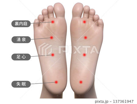 足裏のツボ  裏内庭 湧泉 足心 失眠 足の裏のツボの図解イラスト  137361947