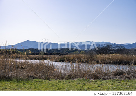 相模川の風景 137362164