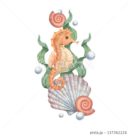 A watercolor illustration of a seahorse a seabed dweller 137362228
