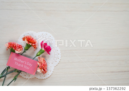 母の日のカーネーション 137362292