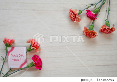 母の日のカーネーション 母の日のカーネーション 137362293