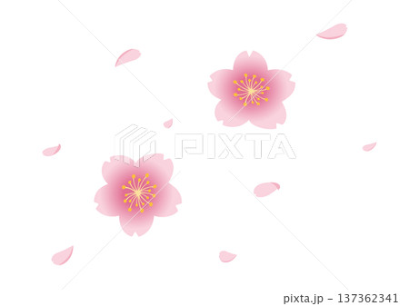 桜の花吹雪のイラスト 137362341