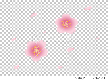 桜の花吹雪のイラスト 137362341