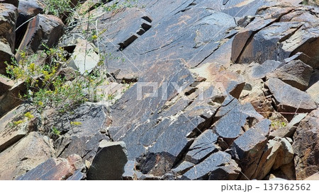 Beautiful view of the nature. Stones with petroglyphs. 137362562