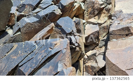 Rocks With Petroglyphs In The Mountains 137362565