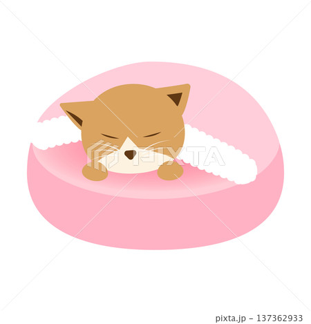 ペットベッドで眠る猫のかわいいイラスト 137362933