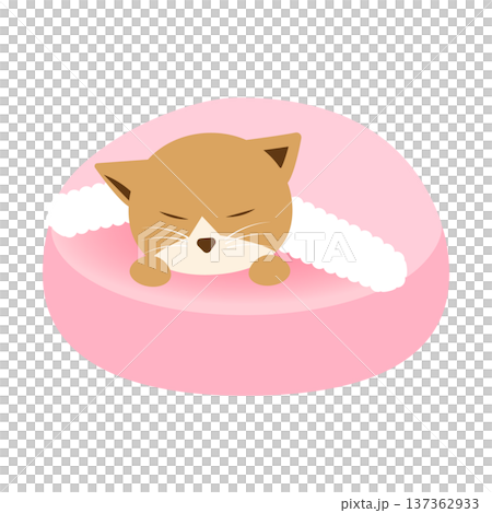 ペットベッドで眠る猫のかわいいイラスト 137362933