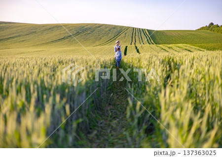 A mother and child walk hand-in-hand through a lush green wheat field during golden hour, with rolling hills in the background A mother and child walk hand-in-hand through a lush green wheat field during golden hour, with rolling hills in the background 137363025