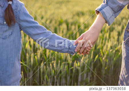 A close-up of two people, likely a parent and child, holding hands while walking through a sunlit wheat field 137363038