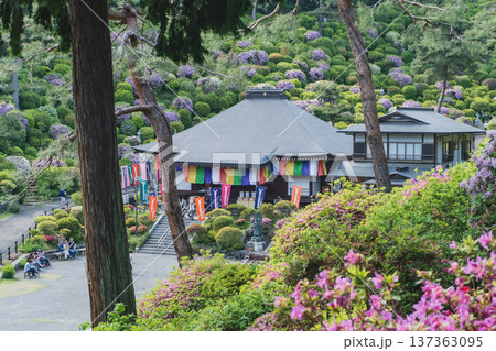 塩船観音寺:ツツジに囲まれた護摩堂/東京都青梅市・4月 塩船観音寺:ツツジに囲まれた護摩堂/東京都青梅市・4月 137363095