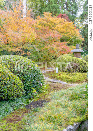 京都 東山泉涌寺別院 雲龍院(瑠璃山) 境内中庭の紅葉(月窓の間からの眺め) 京都 東山泉涌寺別院 雲龍院(瑠璃山) 境内中庭の紅葉(月窓の間からの眺め) 137363138
