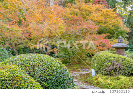 京都 東山泉涌寺別院 雲龍院(瑠璃山) 境内中庭の紅葉(月窓の間からの眺め) 京都 東山泉涌寺別院 雲龍院(瑠璃山) 境内中庭の紅葉(月窓の間からの眺め) 137363139