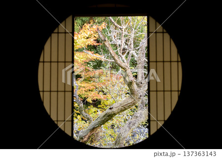 京都　東山泉涌寺別院　雲龍院（瑠璃山）　悟りの窓から境内中庭の紅葉を眺める 137363143