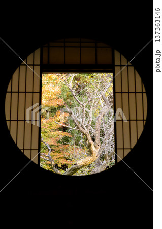 京都 東山泉涌寺別院 雲龍院(瑠璃山) 悟りの窓から境内中庭の紅葉を眺める 京都 東山泉涌寺別院 雲龍院(瑠璃山) 悟りの窓から境内中庭の紅葉を眺める 137363146