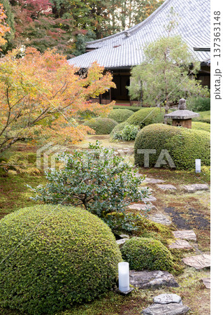 京都 東山泉涌寺別院 雲龍院(瑠璃山) 境内中庭の紅葉(悟りの間からの眺め) 京都 東山泉涌寺別院 雲龍院(瑠璃山) 境内中庭の紅葉(悟りの間からの眺め) 137363148