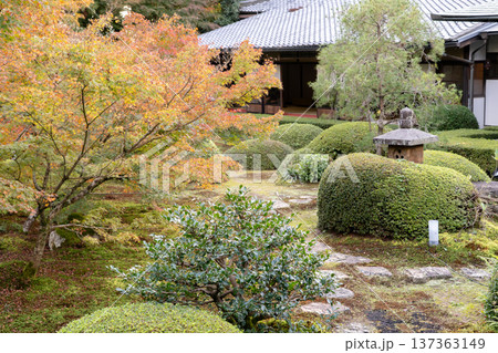 京都 東山泉涌寺別院 雲龍院(瑠璃山) 境内中庭の紅葉(悟りの間からの眺め) 京都 東山泉涌寺別院 雲龍院(瑠璃山) 境内中庭の紅葉(悟りの間からの眺め) 137363149