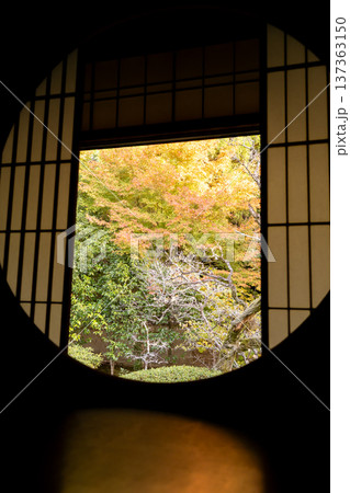 京都 東山泉涌寺別院 雲龍院(瑠璃山) 悟りの窓から境内中庭の紅葉を眺める 京都 東山泉涌寺別院 雲龍院(瑠璃山) 悟りの窓から境内中庭の紅葉を眺める 137363150