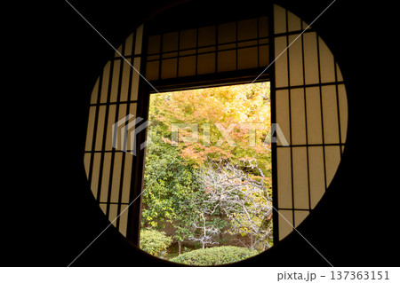 京都　東山泉涌寺別院　雲龍院（瑠璃山）　悟りの窓から境内中庭の紅葉を眺める 137363151