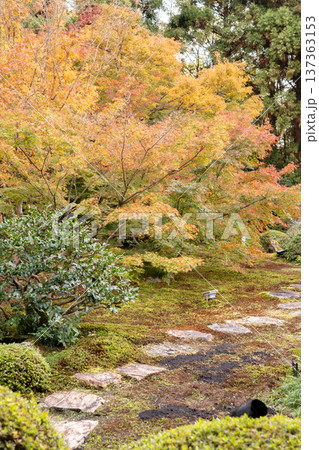 京都 東山泉涌寺別院 雲龍院(瑠璃山) 境内中庭の紅葉(悟りの間からの眺め) 京都 東山泉涌寺別院 雲龍院(瑠璃山) 境内中庭の紅葉(悟りの間からの眺め) 137363153