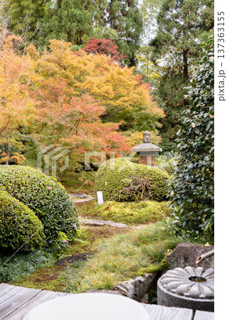京都 東山泉涌寺別院 雲龍院(瑠璃山) 境内中庭の紅葉(月窓の間からの眺め) 京都 東山泉涌寺別院 雲龍院(瑠璃山) 境内中庭の紅葉(月窓の間からの眺め) 137363155