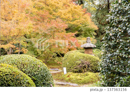 京都 東山泉涌寺別院 雲龍院(瑠璃山) 境内中庭の紅葉(月窓の間からの眺め) 京都 東山泉涌寺別院 雲龍院(瑠璃山) 境内中庭の紅葉(月窓の間からの眺め) 137363156