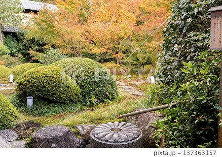 京都 東山泉涌寺別院 雲龍院(瑠璃山) 境内中庭の紅葉(月窓の間からの眺め) 京都 東山泉涌寺別院 雲龍院(瑠璃山) 境内中庭の紅葉(月窓の間からの眺め) 137363157