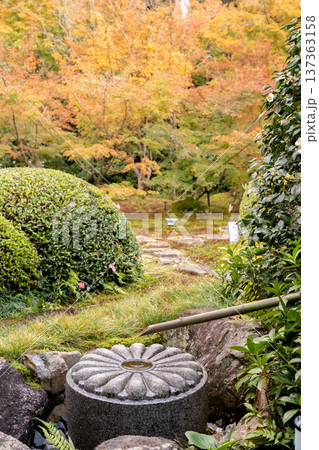 京都 東山泉涌寺別院 雲龍院(瑠璃山) 境内中庭の紅葉(月窓の間からの眺め) 京都 東山泉涌寺別院 雲龍院(瑠璃山) 境内中庭の紅葉(月窓の間からの眺め) 137363158