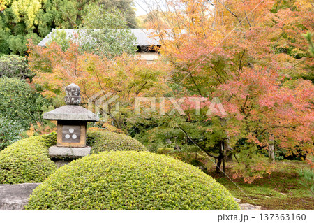 京都 東山泉涌寺別院 雲龍院(瑠璃山) 境内中庭の紅葉(蓮華の間からの眺め) 京都 東山泉涌寺別院 雲龍院(瑠璃山) 境内中庭の紅葉(蓮華の間からの眺め) 137363160