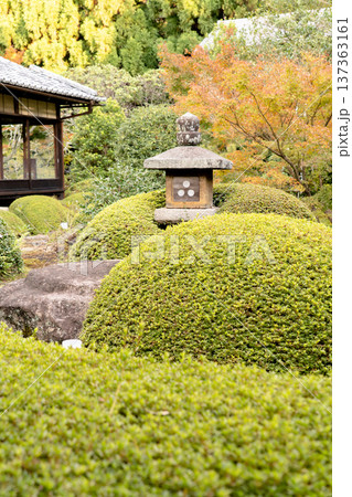 京都 東山泉涌寺別院 雲龍院(瑠璃山) 境内中庭の紅葉(蓮華の間からの眺め) 京都 東山泉涌寺別院 雲龍院(瑠璃山) 境内中庭の紅葉(蓮華の間からの眺め) 137363161