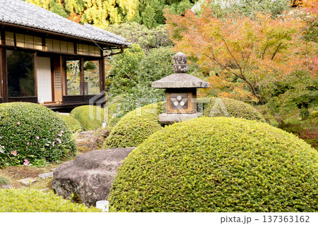京都 東山泉涌寺別院 雲龍院(瑠璃山) 境内中庭の紅葉(蓮華の間からの眺め) 京都 東山泉涌寺別院 雲龍院(瑠璃山) 境内中庭の紅葉(蓮華の間からの眺め) 137363162