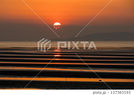夕暮れの御輿来海岸に染まる夕焼け 夕暮れの御輿来海岸に染まる夕焼け 137363193