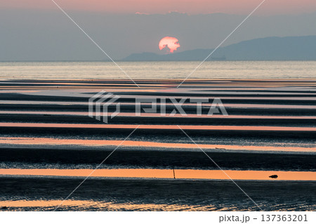 夕暮れの御輿来海岸に染まる夕焼け 夕暮れの御輿来海岸に染まる夕焼け 137363201